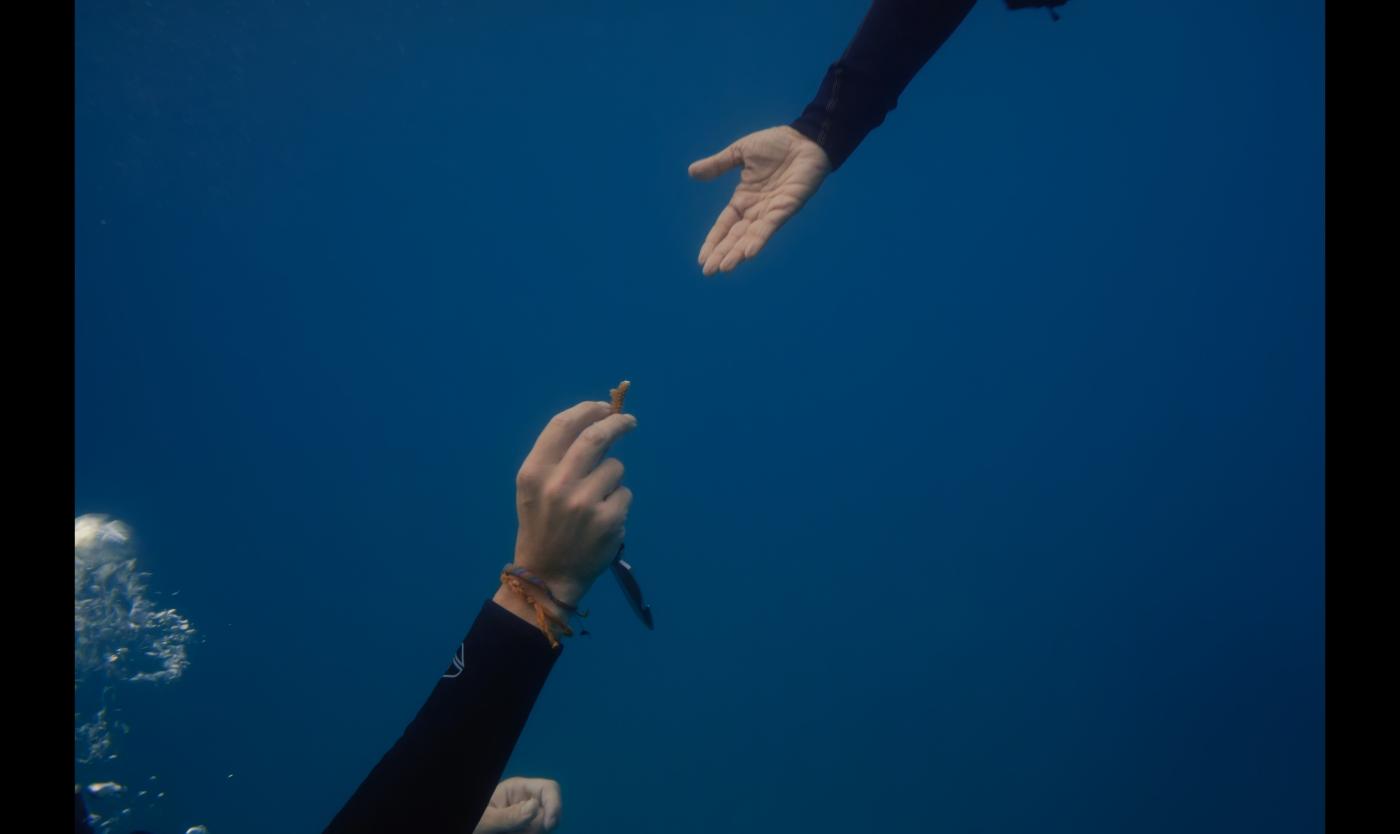 Handen onder water 